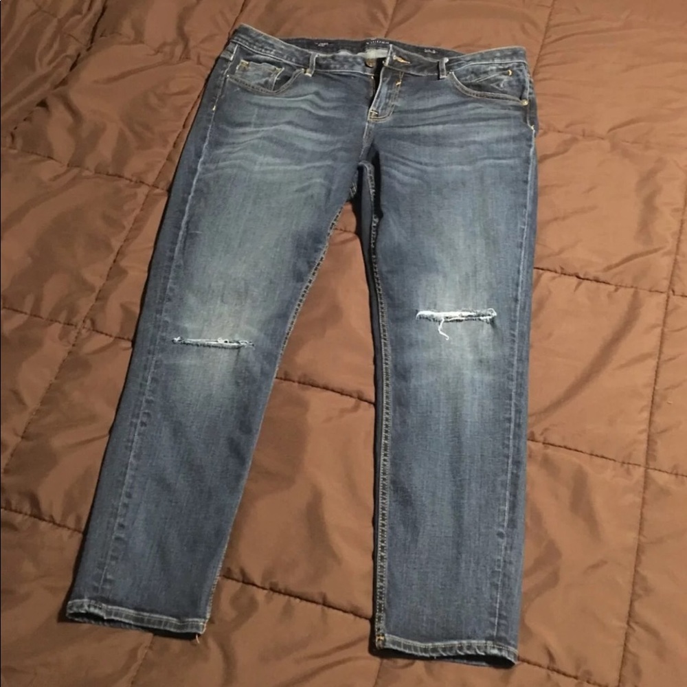 NWOT Vigoss Plus size 18 skinny jeans